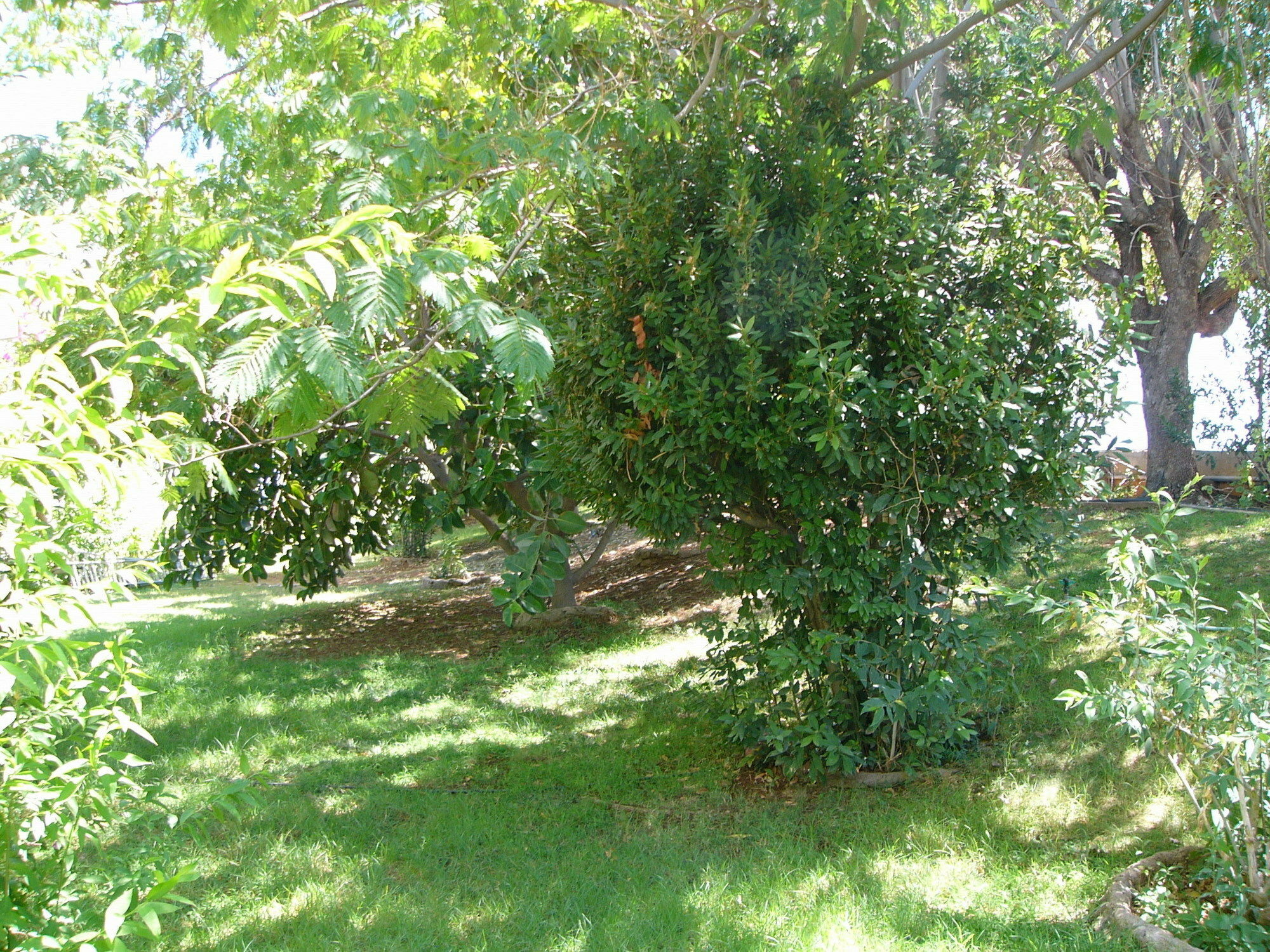 Helgas Paradise Afantou Exterior photo